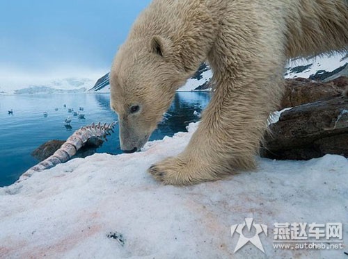 夏季美国地理图片精选