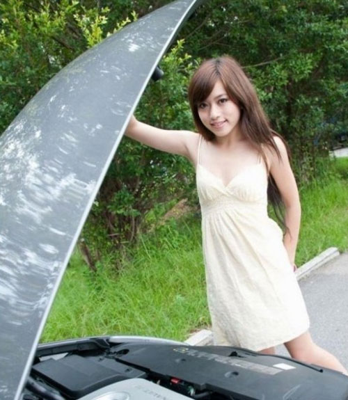 /美女车模绽放青春