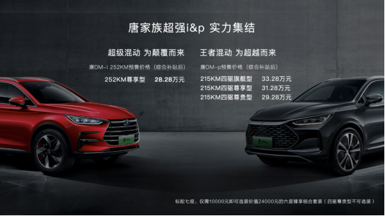 dm-p王者混动为超越而来 唐dm-p预售价29.28万元起350.png
