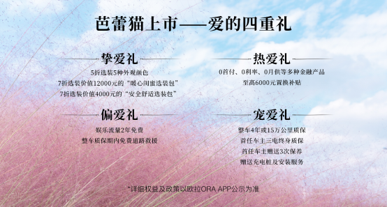 【主新闻通稿】拒绝大众化，欧拉芭蕾猫上市07121332.png
