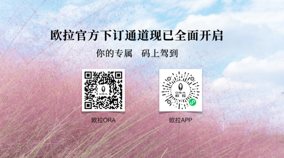 【主新闻通稿】拒绝大众化，欧拉芭蕾猫上市07121334.png