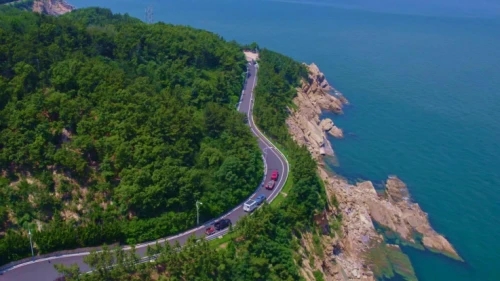 636cbc62219a6.webp.jpg
