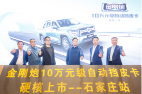 金刚炮AT上市后期497.png