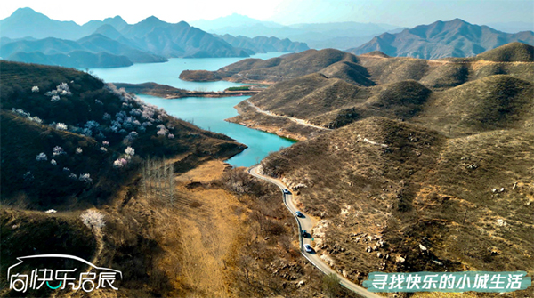 未标题-1.jpg
