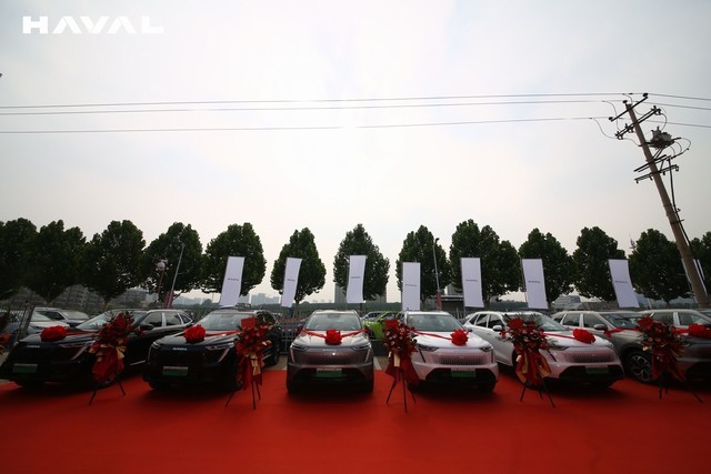 QQ图片20230618141224.jpg