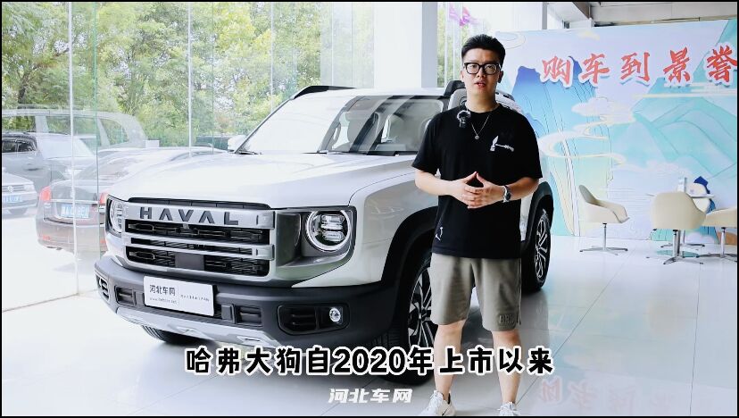 探店实拍2024款哈弗大狗