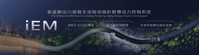 981b53acf3.jpg