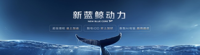 ca8cea5644.jpg