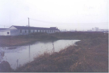 从“小草房”到“世界500强”：奇瑞的长期主义之路561.png