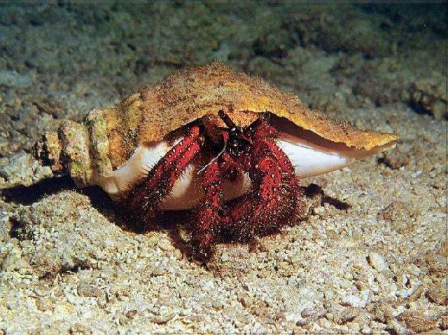 新澳海底世界