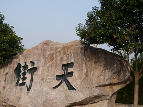 青岛石老人