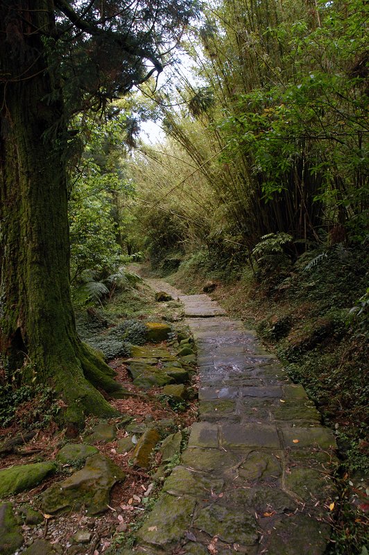 冷水坑  自然清新田园景观