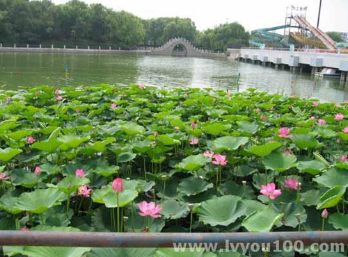 城市内的天然氧吧 唐山南湖公园
