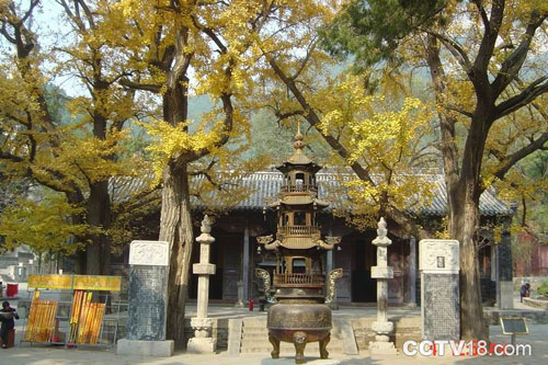 三古之寺 唐山禅林寺