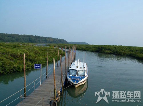 北海山口红树林自然保护区