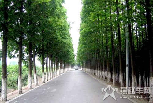 上海长兴岛湿地