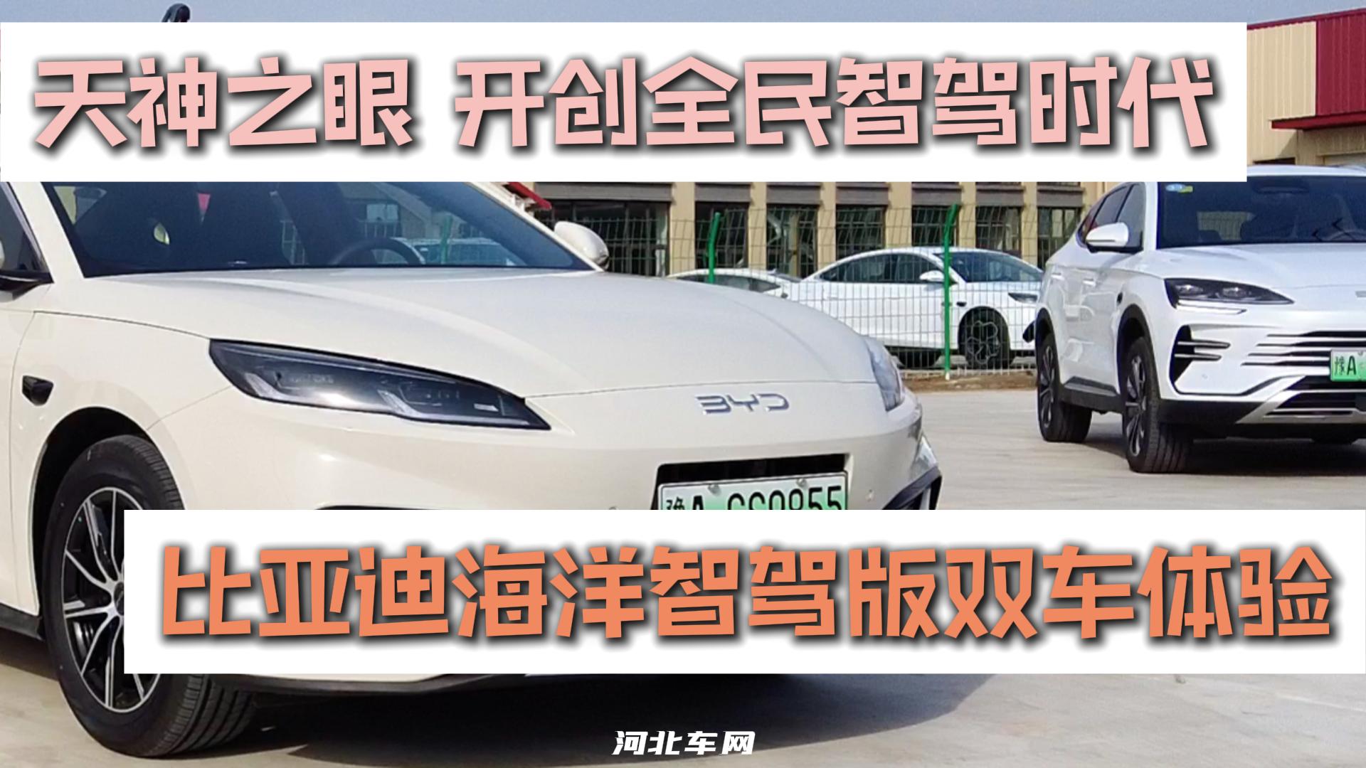天神之眼 开创全民智驾时代 比亚迪海洋智驾版双车体验
