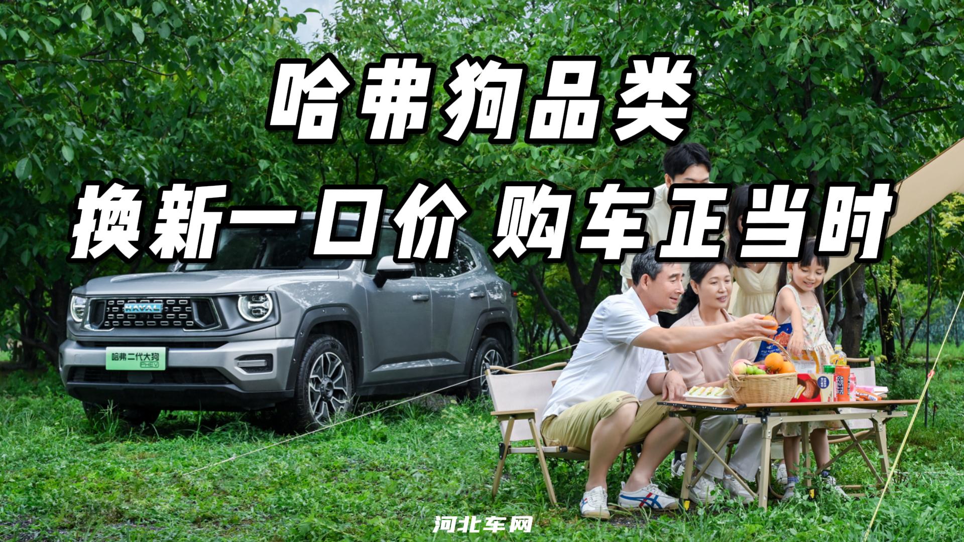 哈弗狗品类 换新一口价 购车正当时