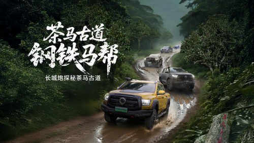 684d1a949782c.png